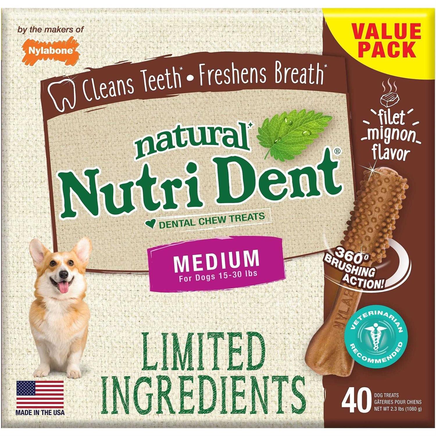 Nylabone Nutri Dent Dental Chews Filet Mignon - Healthber