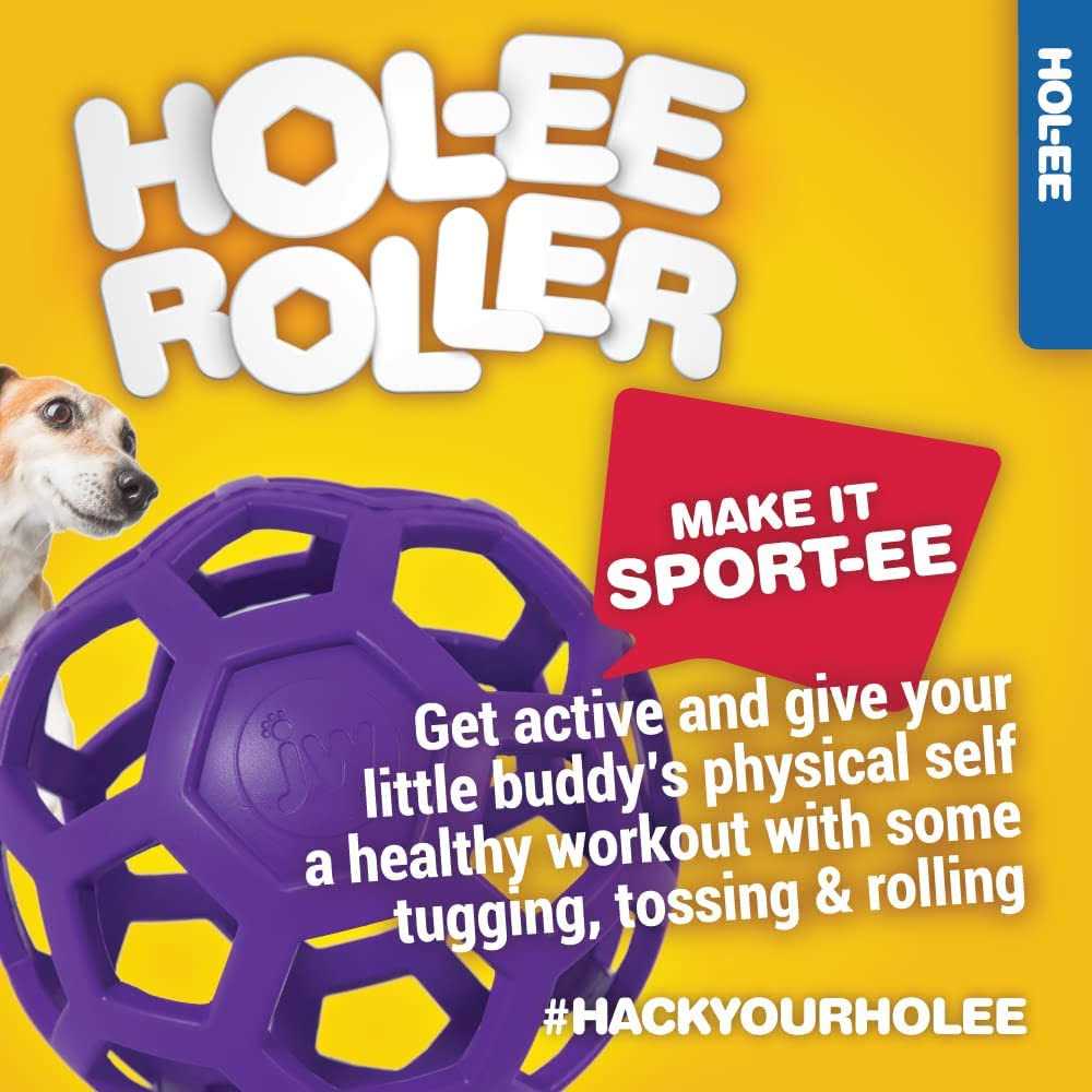 JW Pet Hol-ee Roller Dog Toy Puzzle Ball - Healthber