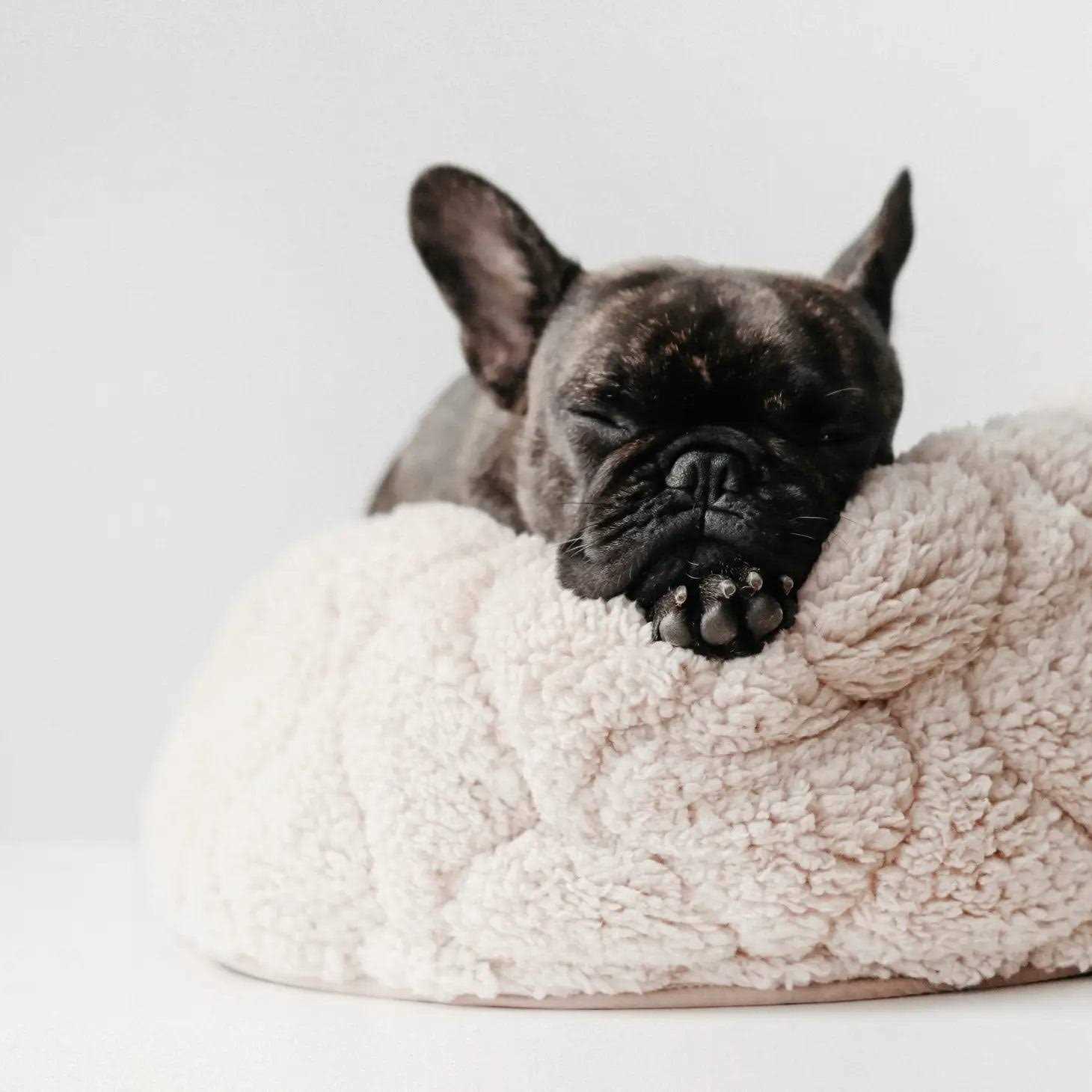 Lambwolf Collective Reversible Donut Pet Bed - Healthber