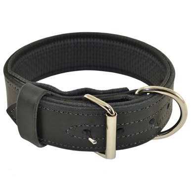 Ultimate Padded Leather Agitation Collar - Healthber