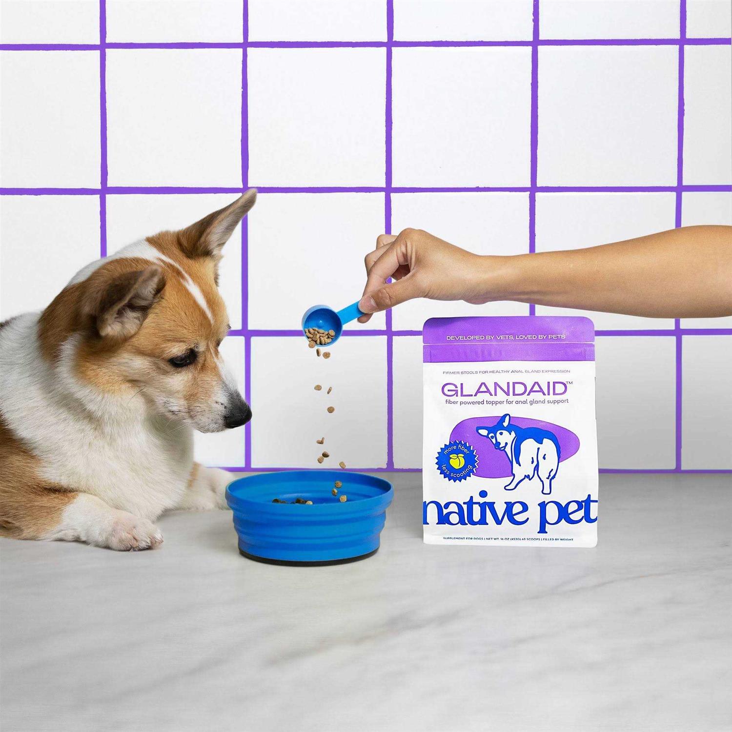 Native Pet GlandAid Anal Gland Supplement for Dogs - Healthber