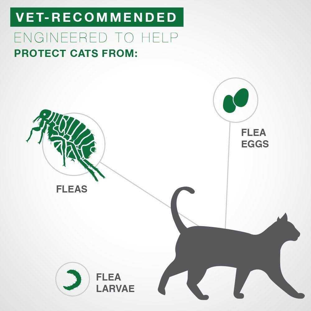 Advantage II Flea Treatment Cats - Healthber