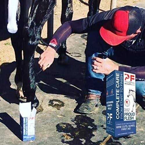 PF Wonder Salve Equine Wound Paste 2 oz. Proud Flesh Treatment Veterinarian Form - Healthber