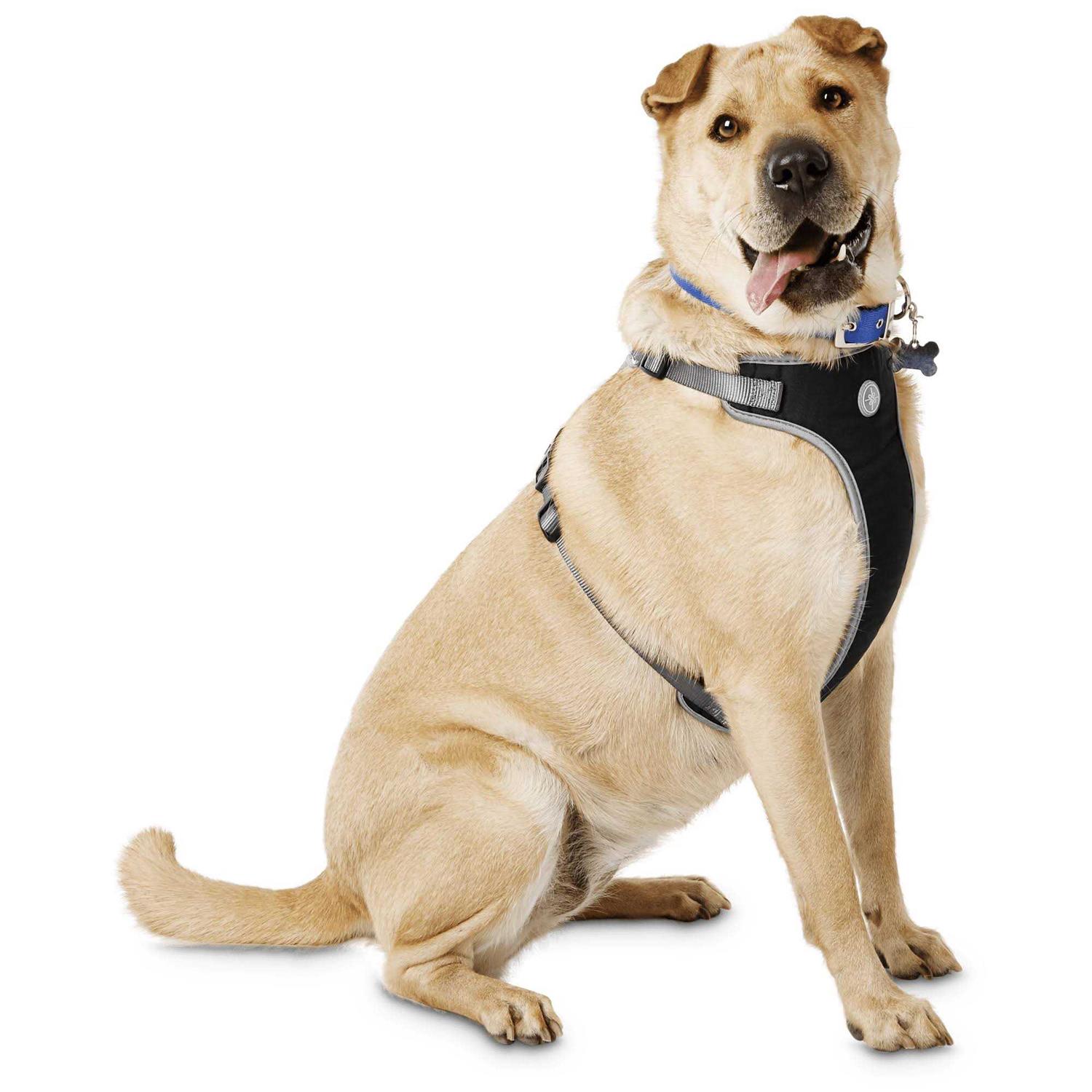 Youly The Classic Black Harness for Large Dog - Healthber
