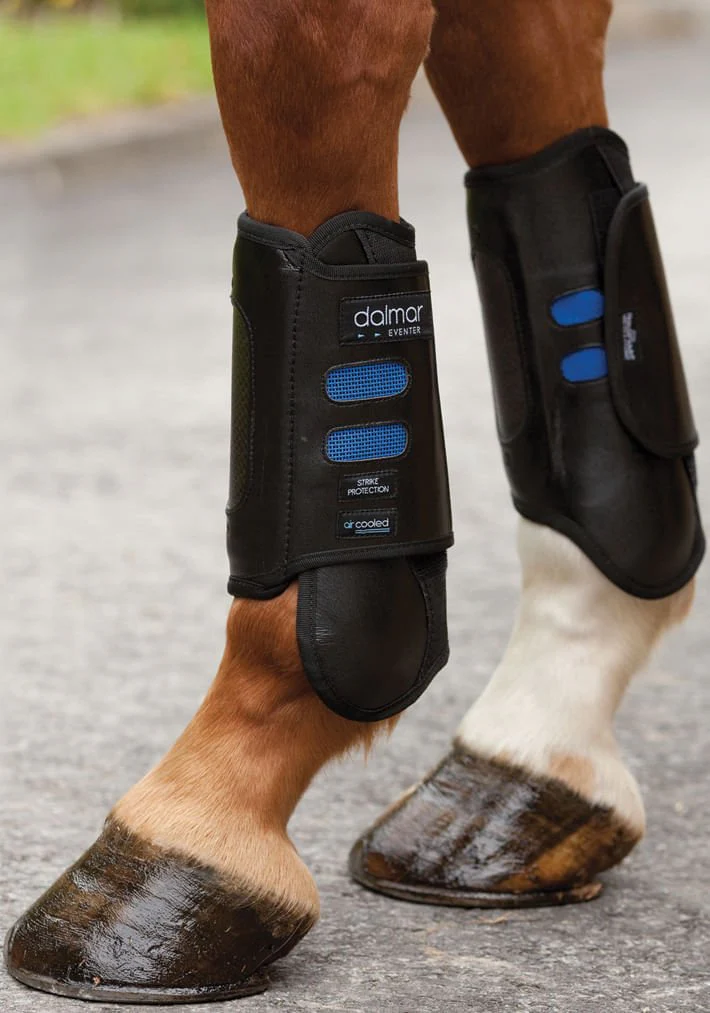 Dalmar Eventer Front Boots, Black - Healthber