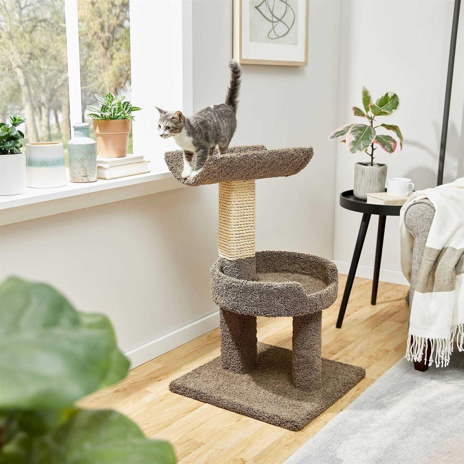 Frisco 32-in Real Carpet Wooden Cat Tree - Healthber