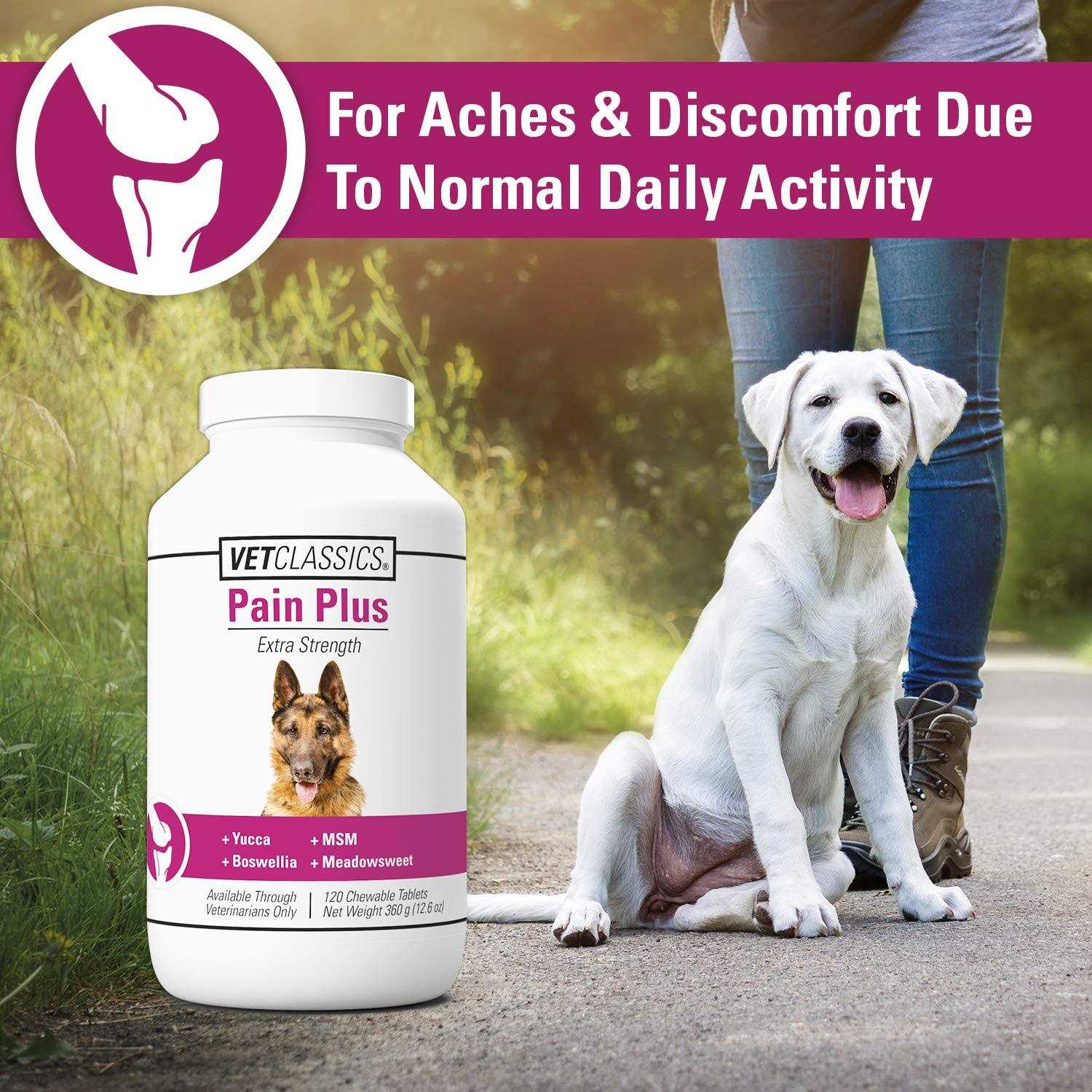 Vet Classics Pain Plus for Dogs - Healthber
