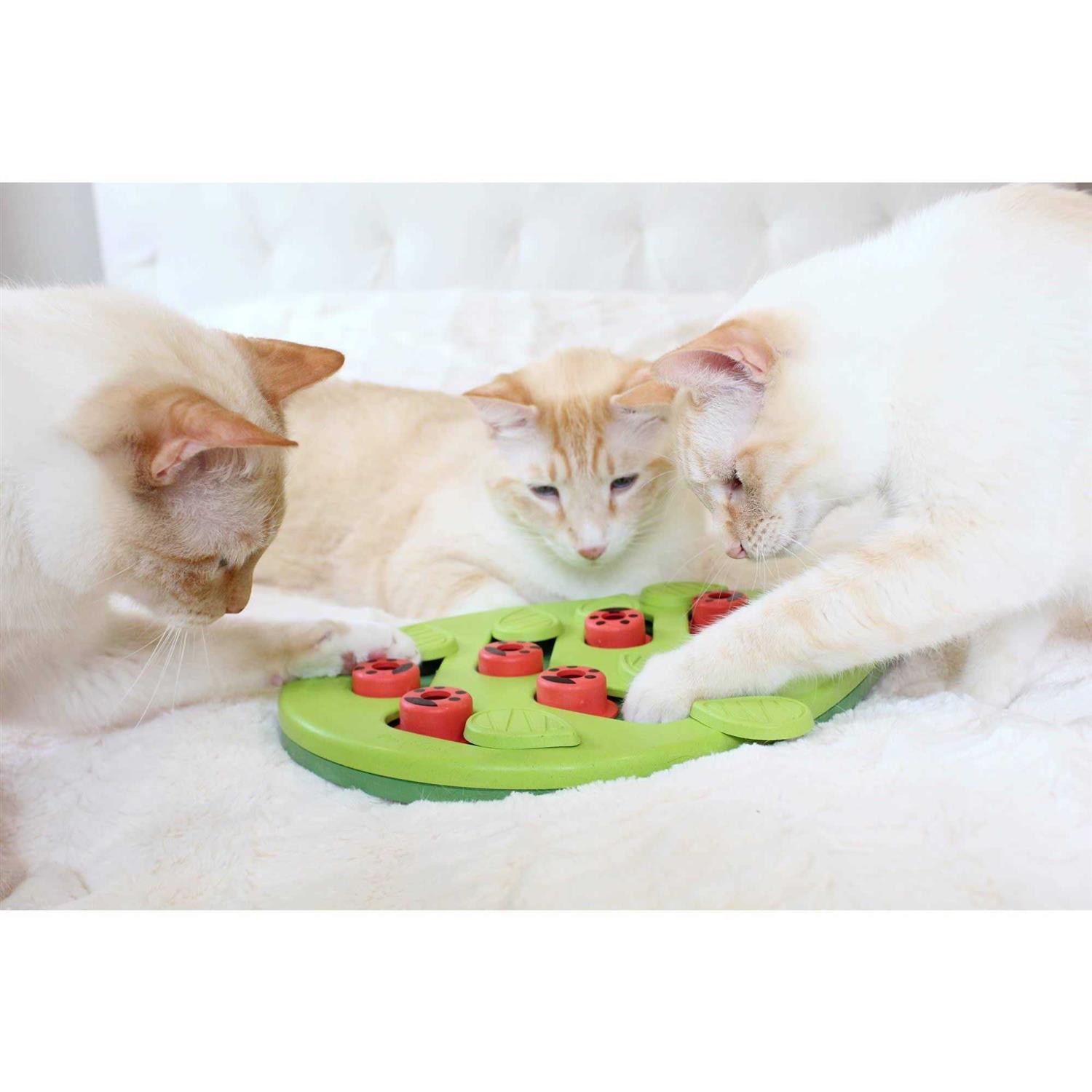 Petstages Buggin Out Puzzle Play Cat Toy - Healthber