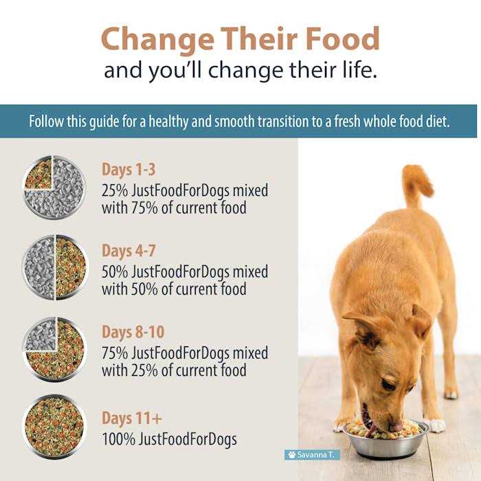 JustFoodForDogs Renal Support Low Protein Diet - Healthber