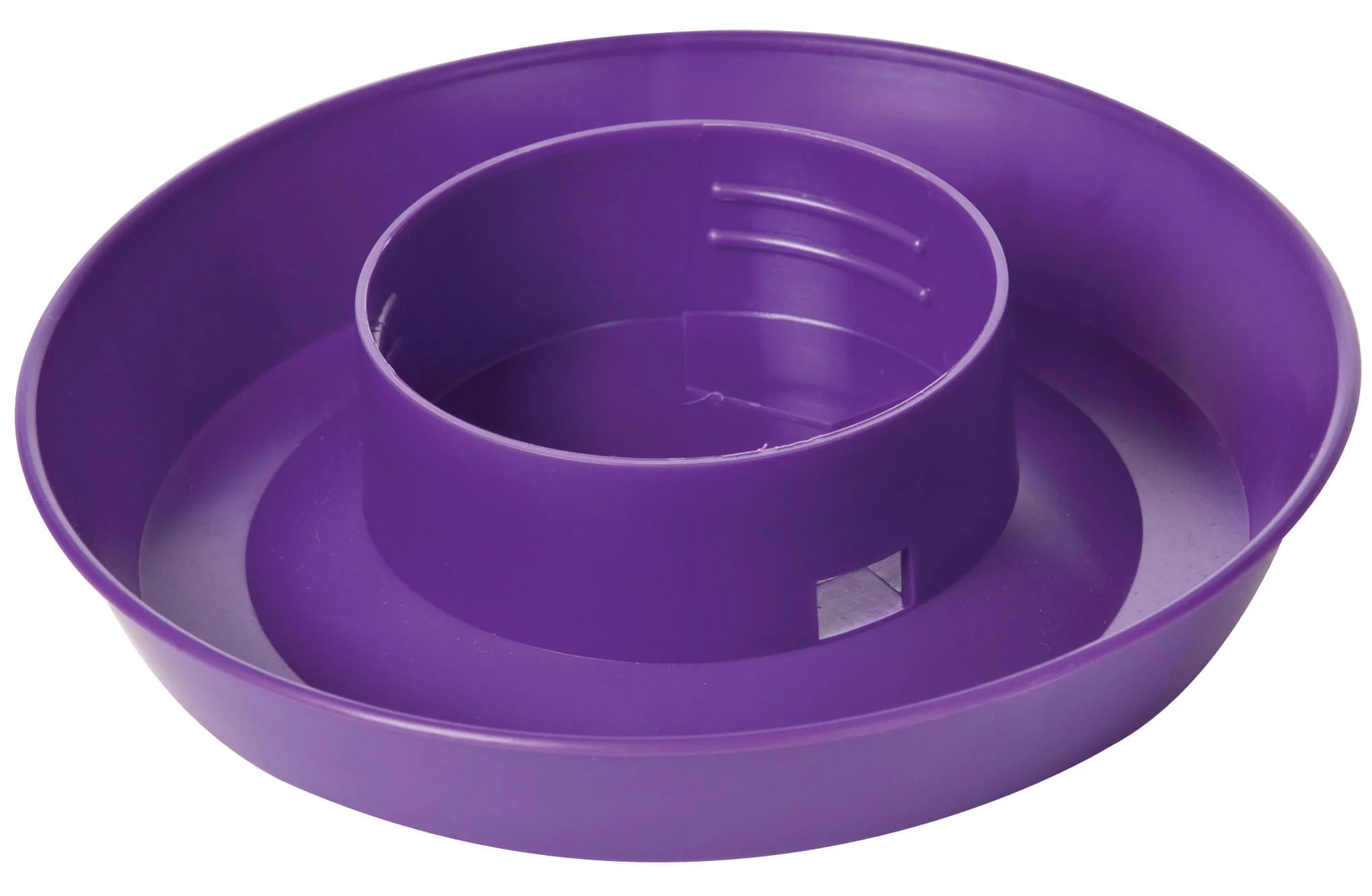 Little Giant Color Chick Waterer Base, Quart - Healthber