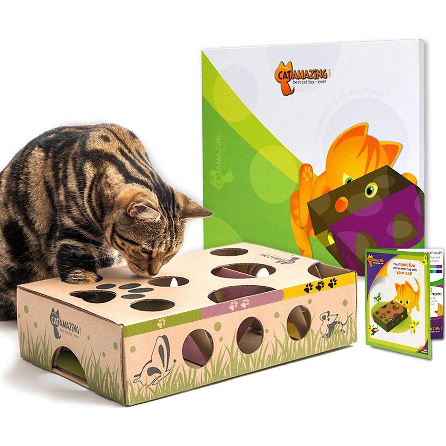 Cat Amazing Best Cat Toy Ever! Interactive Treat Maze & Puzzle Feeder for Cats - Healthber