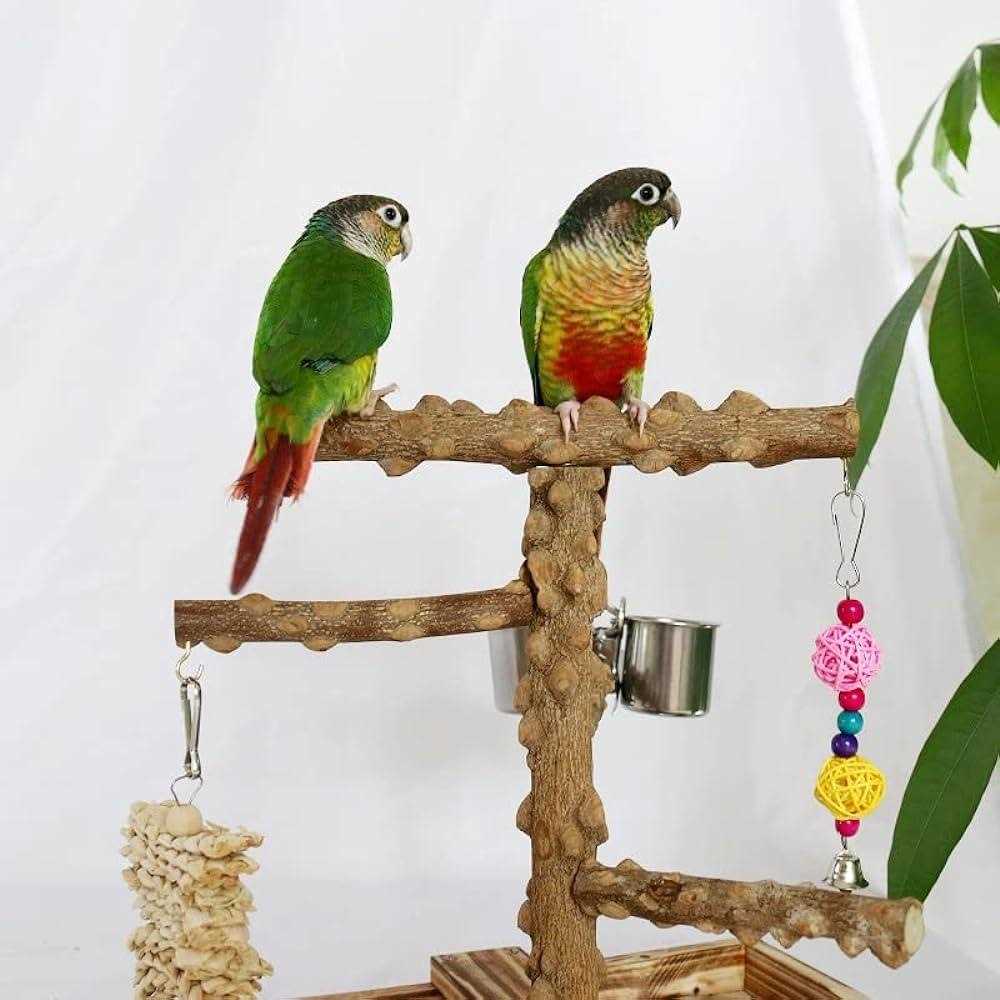 Bird Perch Platform Stand,Wood Perch Bird Platform Parrot Stand Playground Cage Accessories for Small Anminals Rat Hamster Gerbil Rat Mouse Lovebird - Healthber