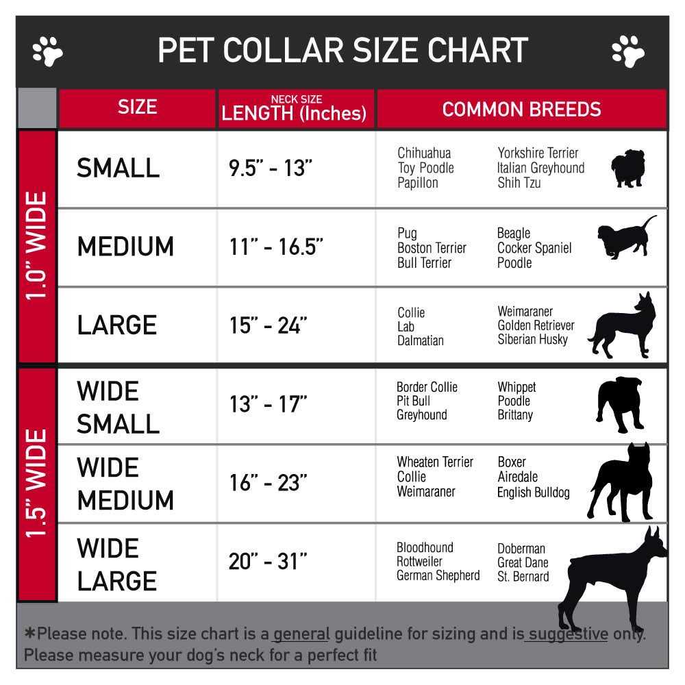 Buckle-Down Buckle Seatbelt Dog Collar - Healthber