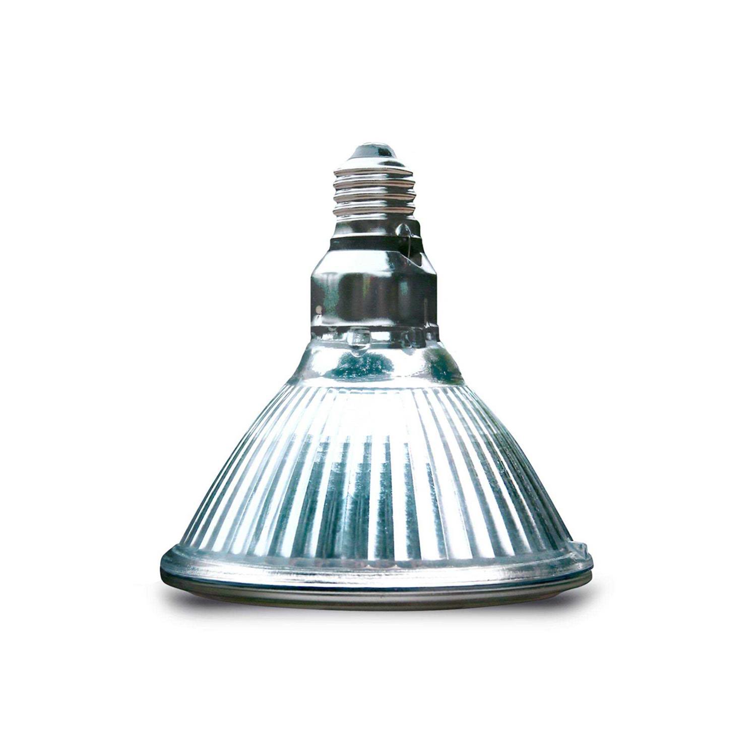 Arcadia Halogen Heat Lamp - Healthber