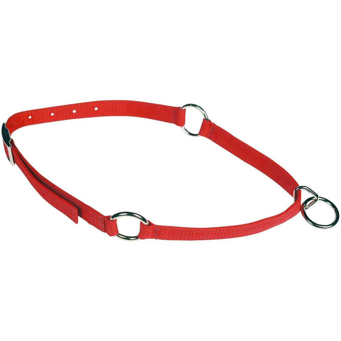 Mustang Neck Collar - Healthber