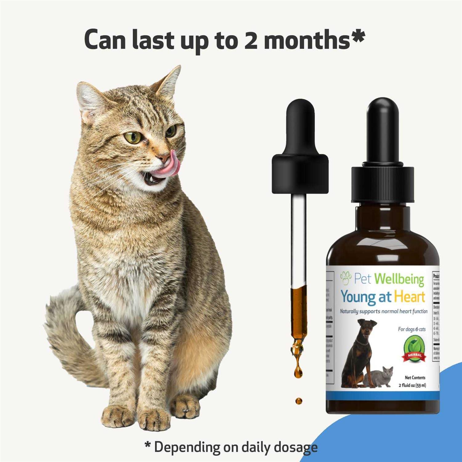 Pet Wellbeing Young at Heart for Cats - Healthber