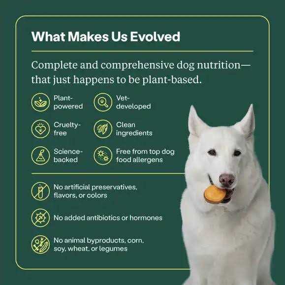 Wild Earth Veggie Chick’n Kabob Flavor Performance Formula Dry Dog Food - Healthber