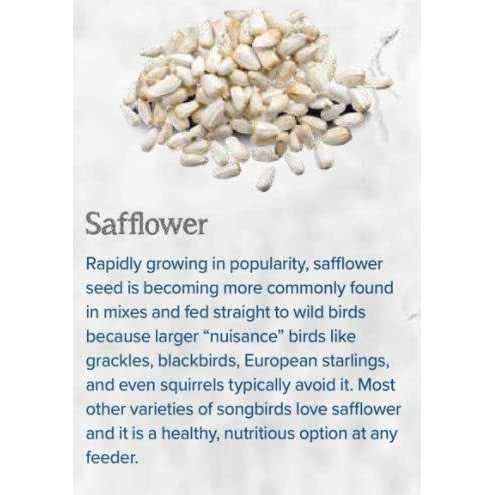 CountryMax Backyard Seeds Safflower Bird Seed for Cardinals - Healthber