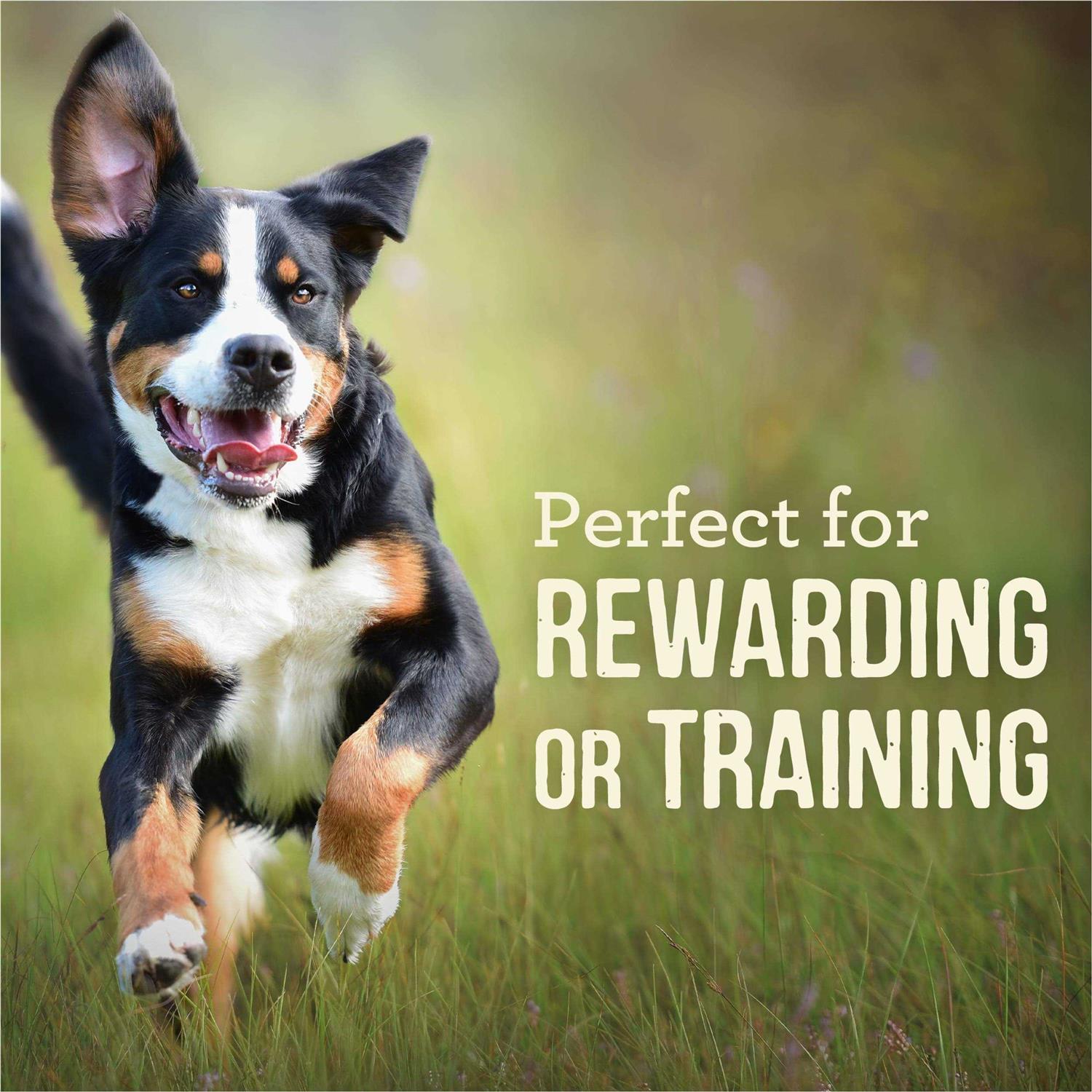 Merrick Power Bites Chicken Dog Treats - Healthber