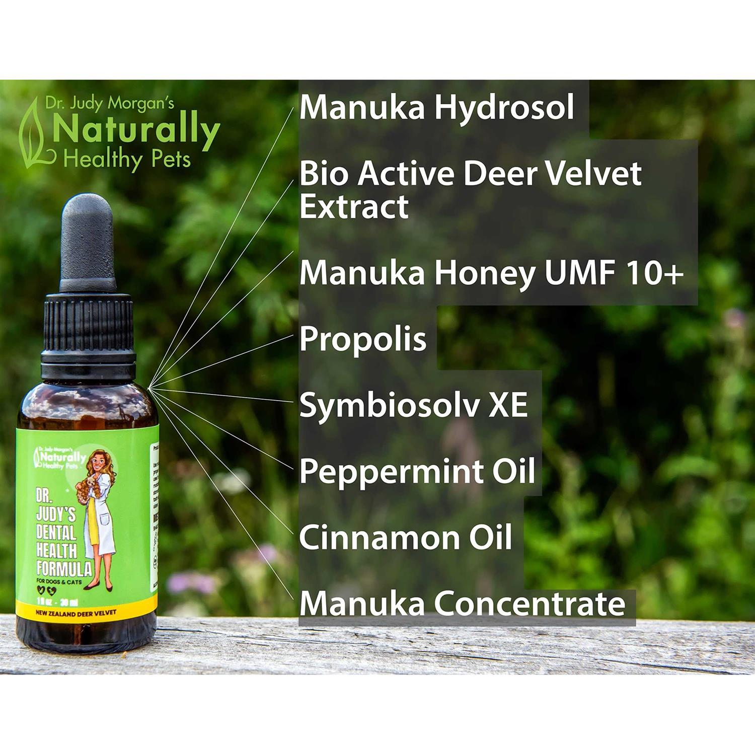 Dr. Judy Morgan’s Dental Health Formula for Dogs & Cats - Healthber