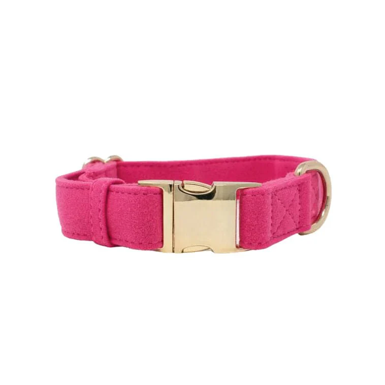 Pink Papyrus Antoinette Collar, Pink - Healthber