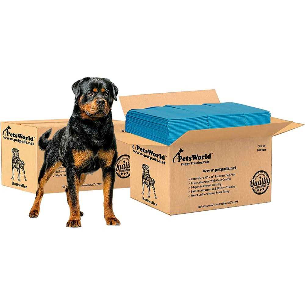 Petsworld Extra Large Potty Pads for Dogs - Healthber