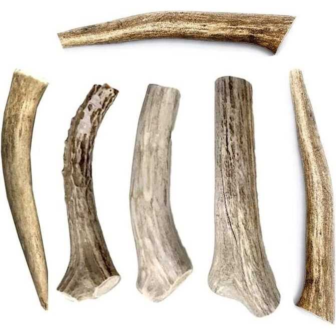Hotspot Pets All Natural Whole Deer Antler Dog Chew Treats - Healthber