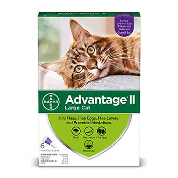 Advantage II Over 9lbs, 6 Treatment Cats Flea Treatment - Healthber