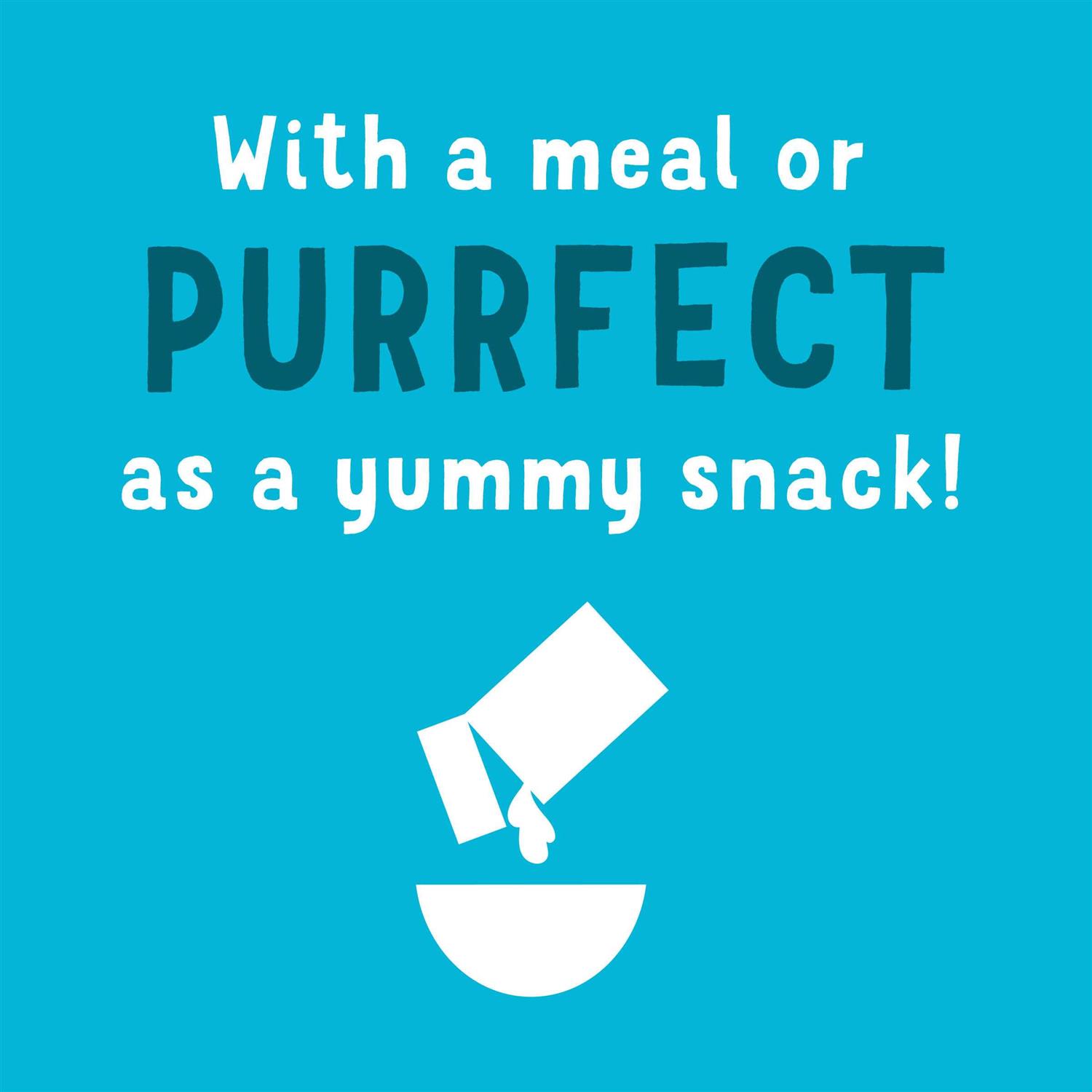 Purina Friskies Gravy Wet Cat Food Complement Variety Pack Lil Grillers Chicken - Healthber