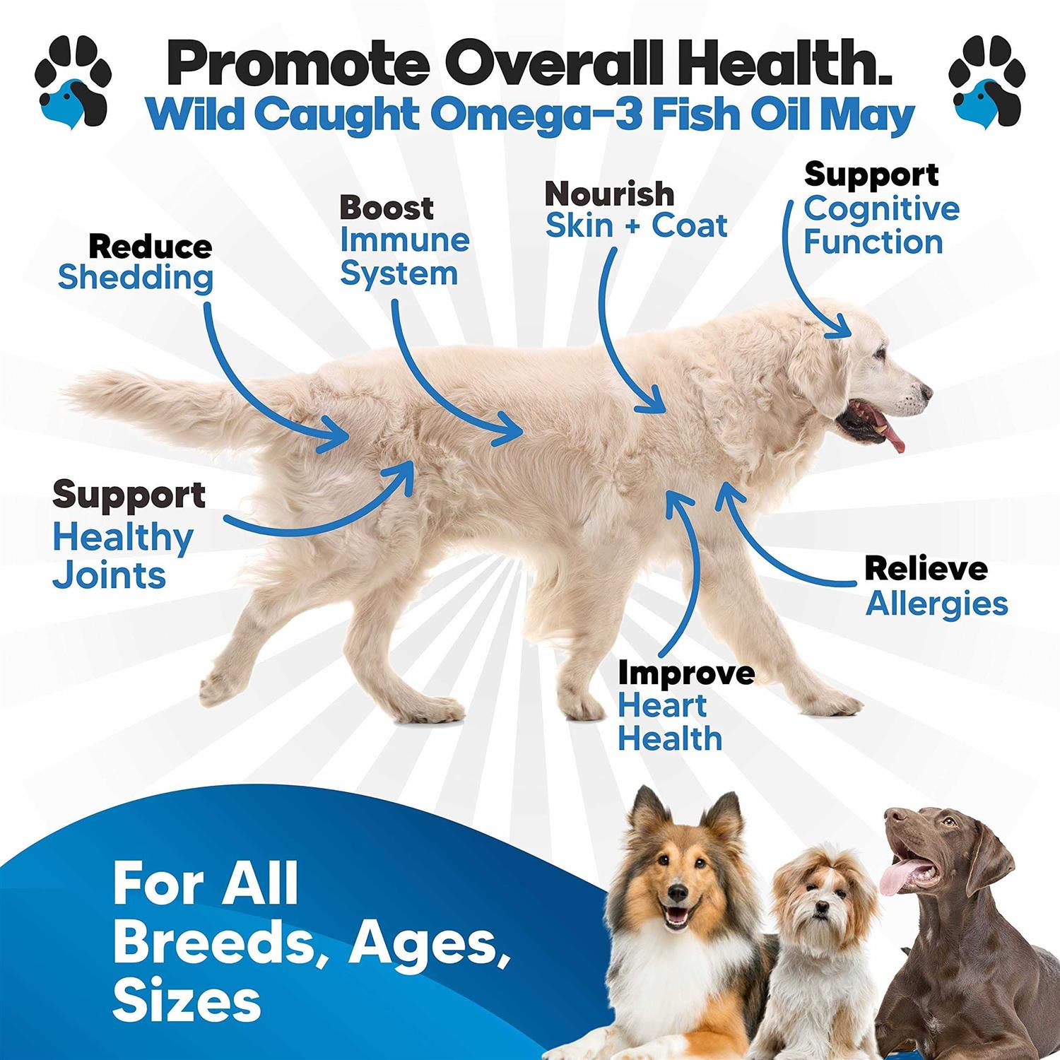 planopaws Omega 3 Fish Oil for Dogs Better Than Salmon Oil for Dogs - Healthber