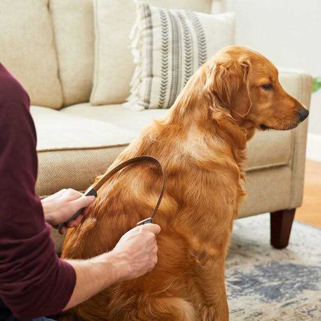 Frisco Shedding Blade Dog Brush - Healthber