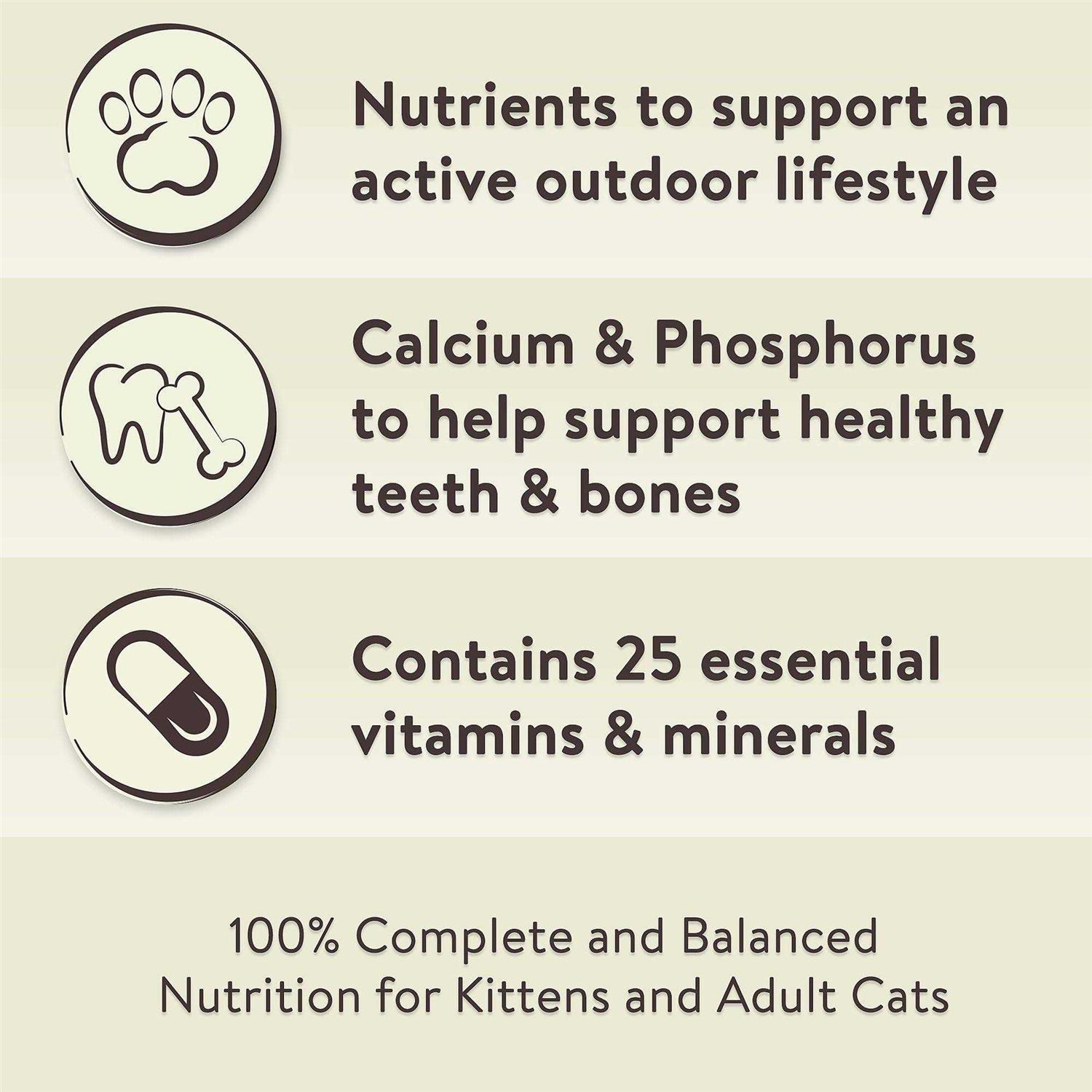 Special Kitty Outdoor Formula Dry Cat Food - Healthber