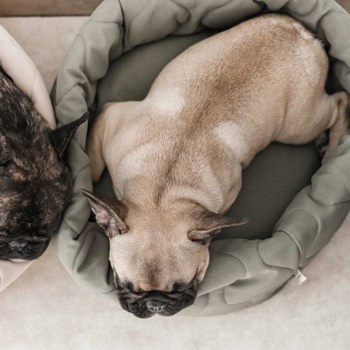 Lambwolf Collective Reversible Donut Pet Bed - Healthber
