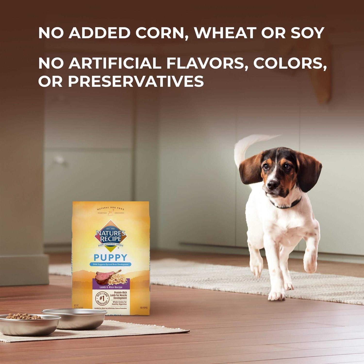 Natures Recipe Puppy Dry Dog Food Lamb & Rice - Healthber