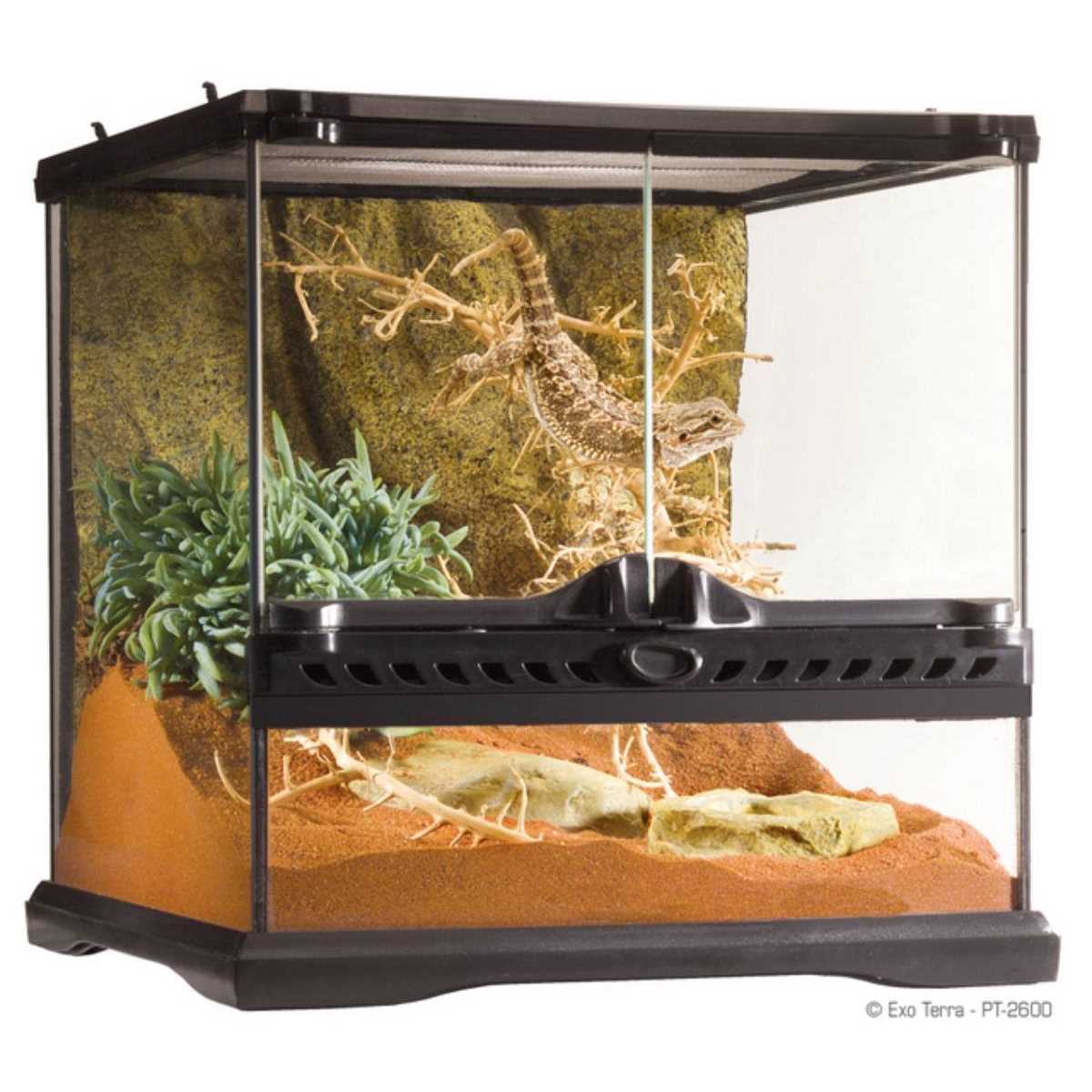 Exo Terra Glass Terrarium - Healthber