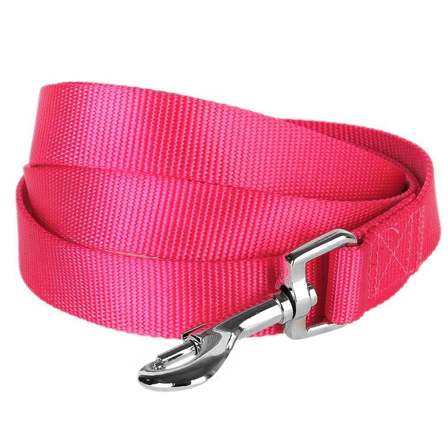 Blueberry Pet Classic Dog Leash - Healthber