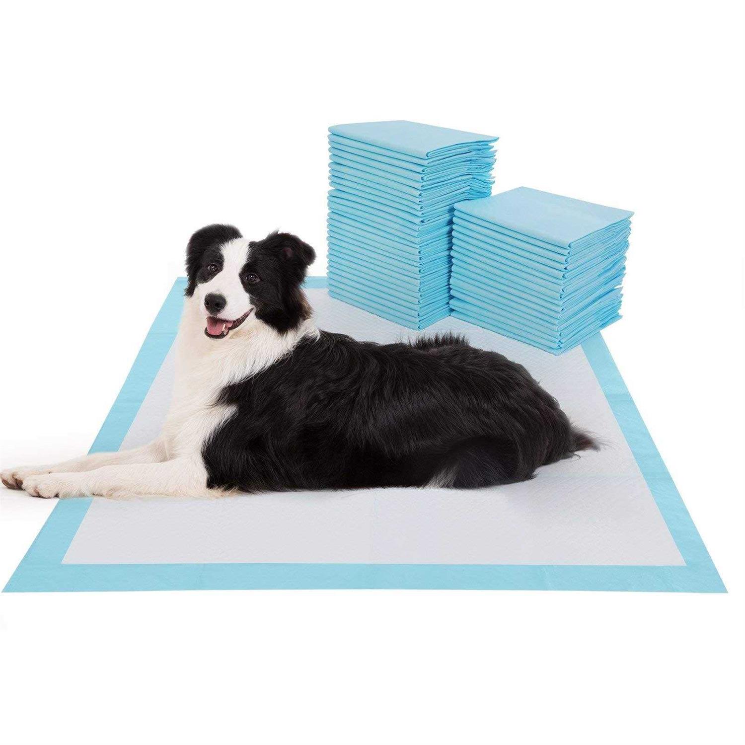 BESTLE Large Pet Training and Puppy Pads Pee Pads for Dogs Super Absorbent & Leak-Proof - Healthber