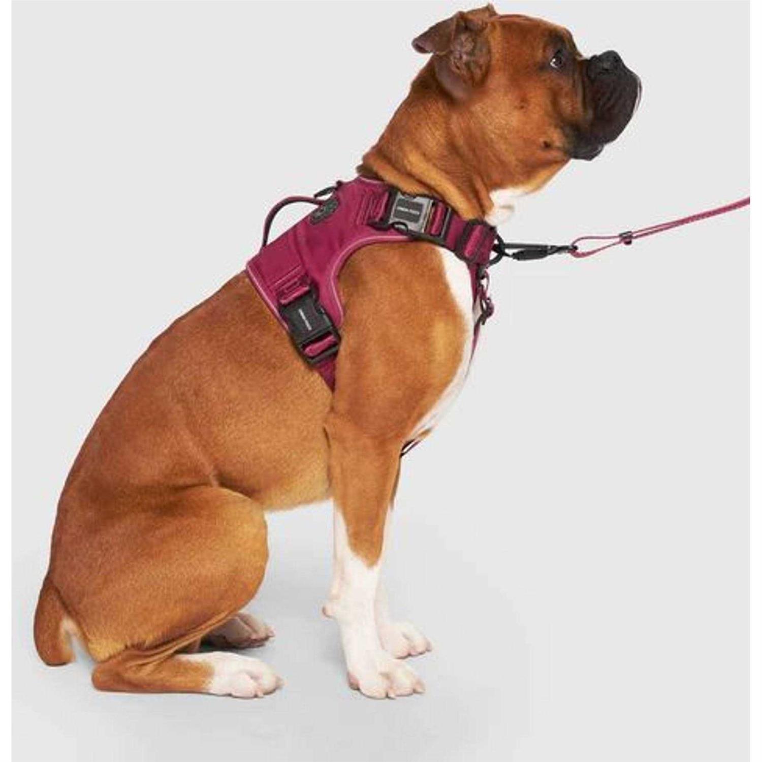 Canada Pooch Complete Control Dog Harness - Healthber