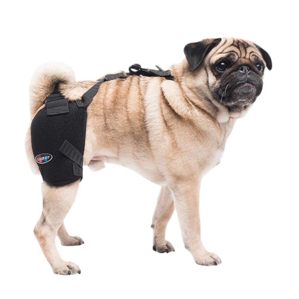 Caldera Pet Therapy Hip Wrap with Therapy Gel - Healthber
