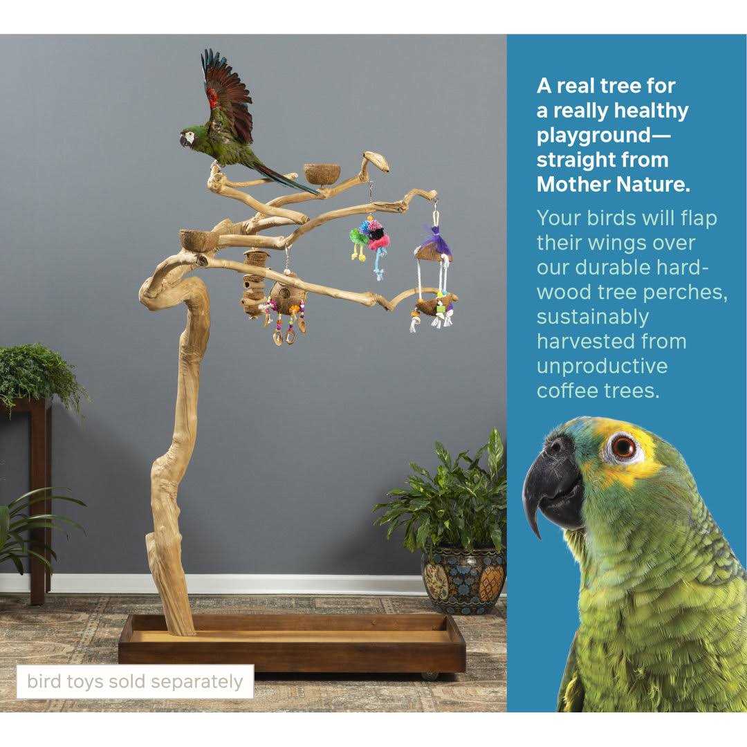 Prevue Pet Products Coffeawood Tree Style #2 Floor Stand - Healthber