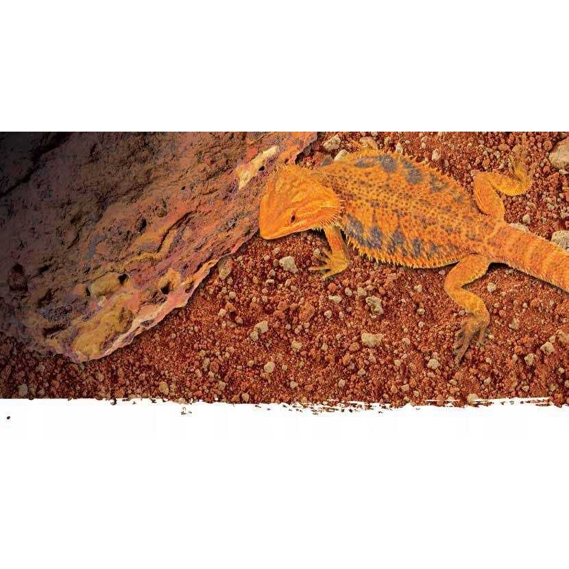 Exo Terra Stone Desert Substrate - Healthber