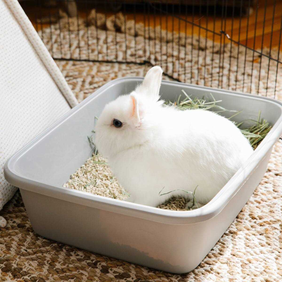 Carefresh Litter Rabbit & Ferret - Healthber