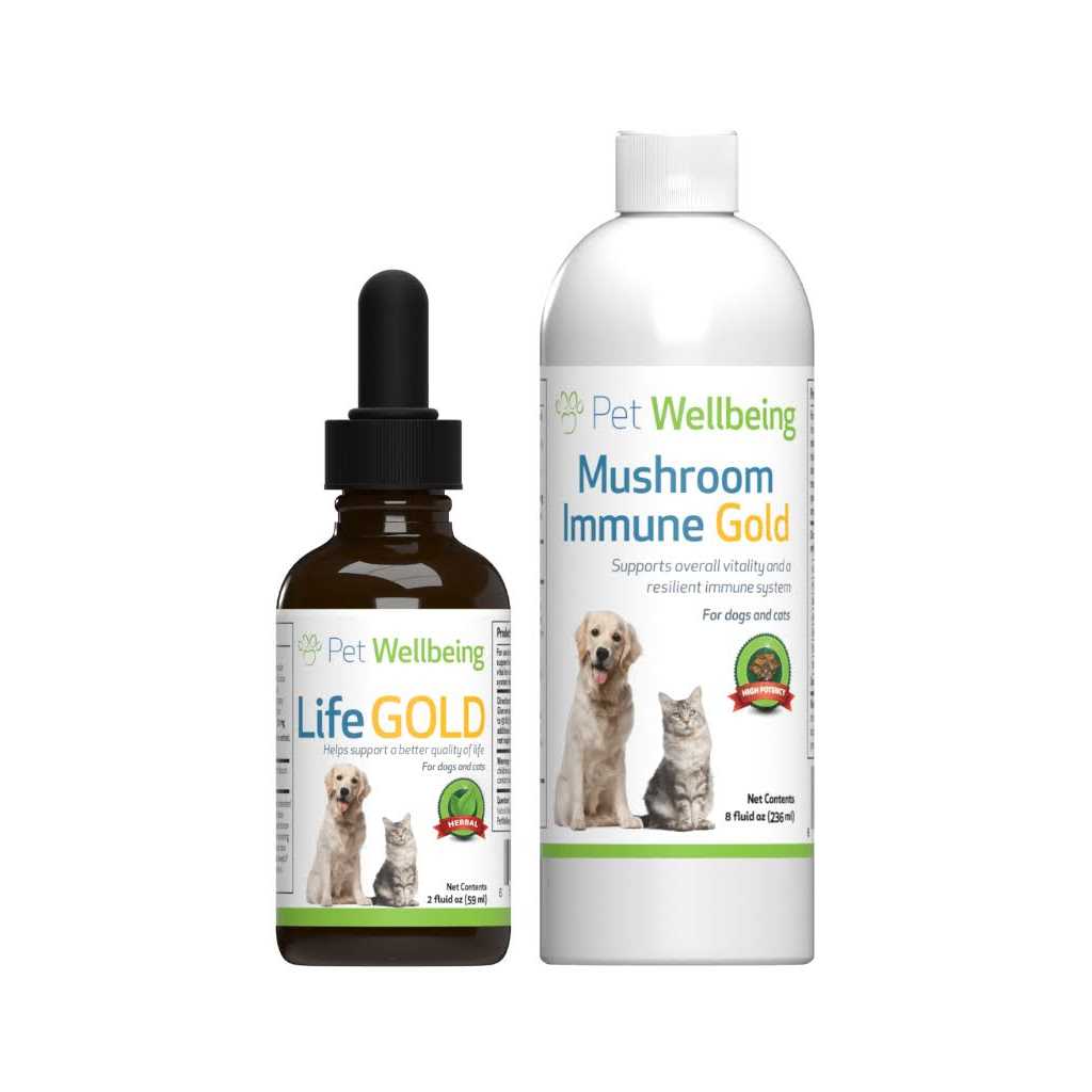 Pet WellBeing More Mushrooms Kit Comprehensive Care for Cat Cancer Support - Healthber