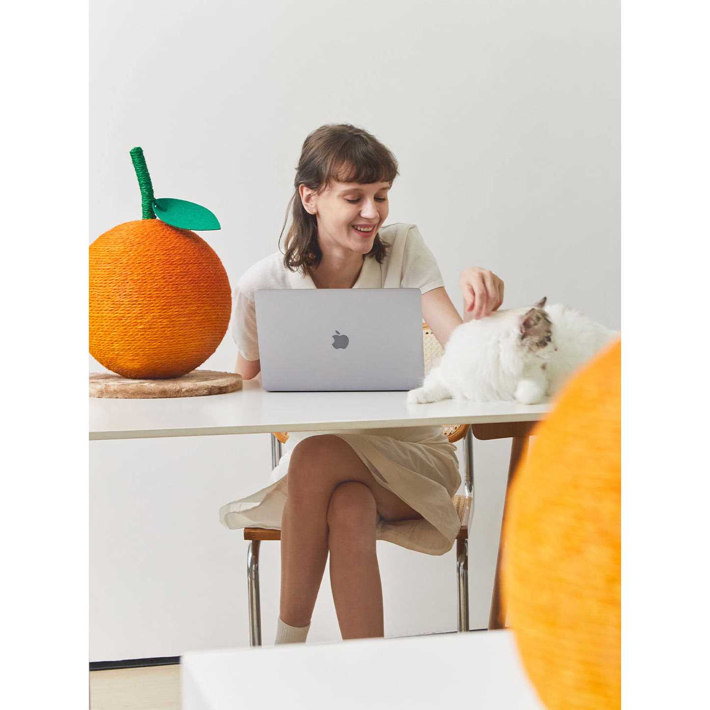 Vetreska Tangerine Cat Scratching Ball Toy - Healthber