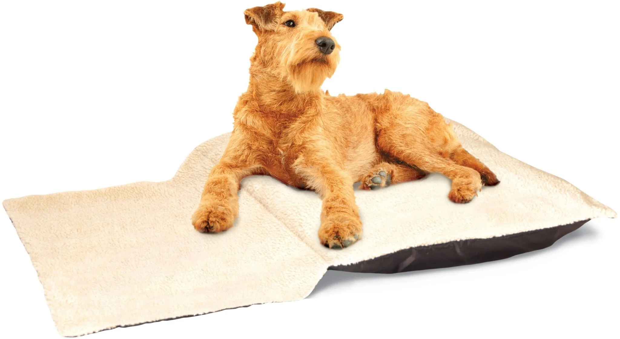 Doze-N-Dream Pet Bed - Healthber