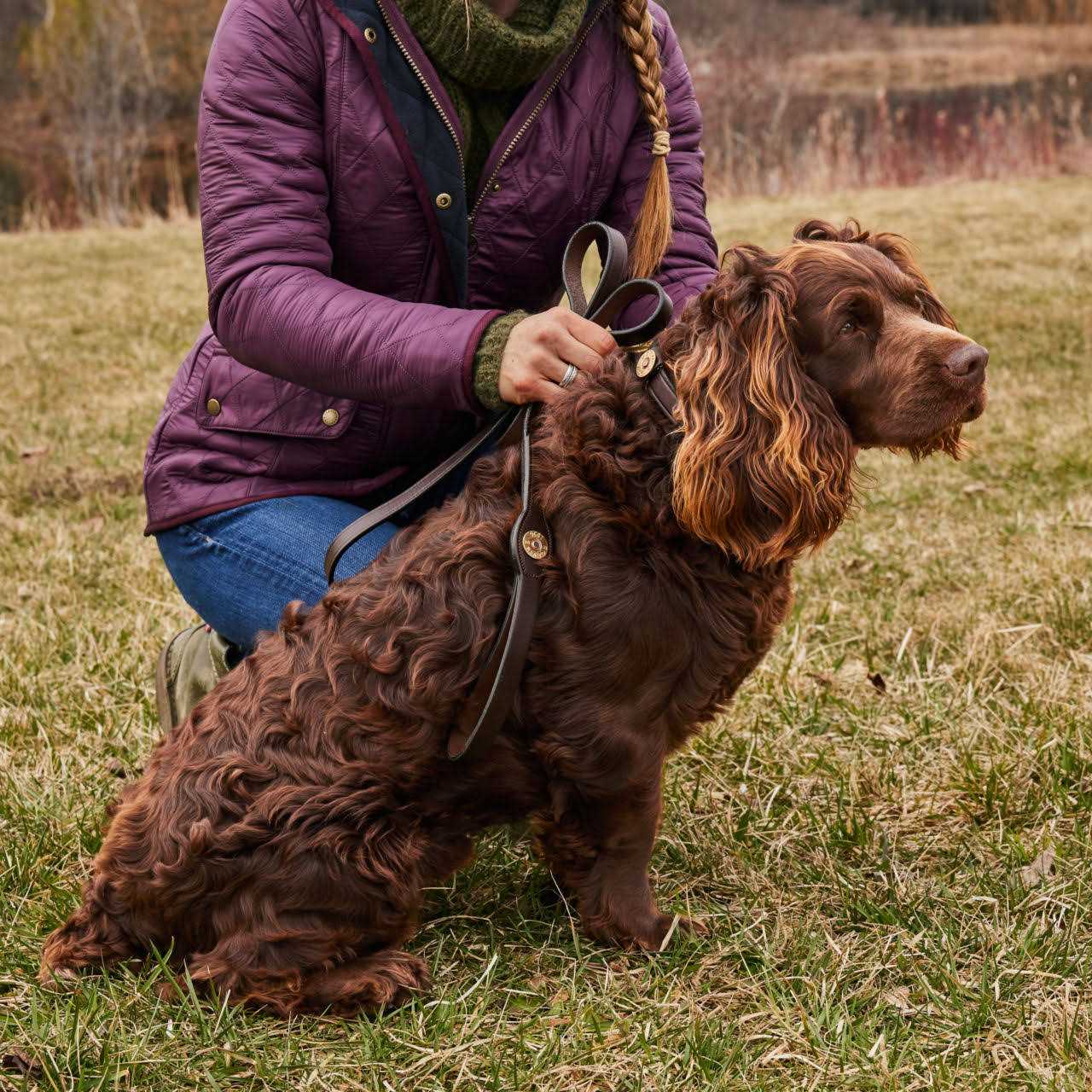 Orvis Shotshell Dog Collar and Leash - Healthber