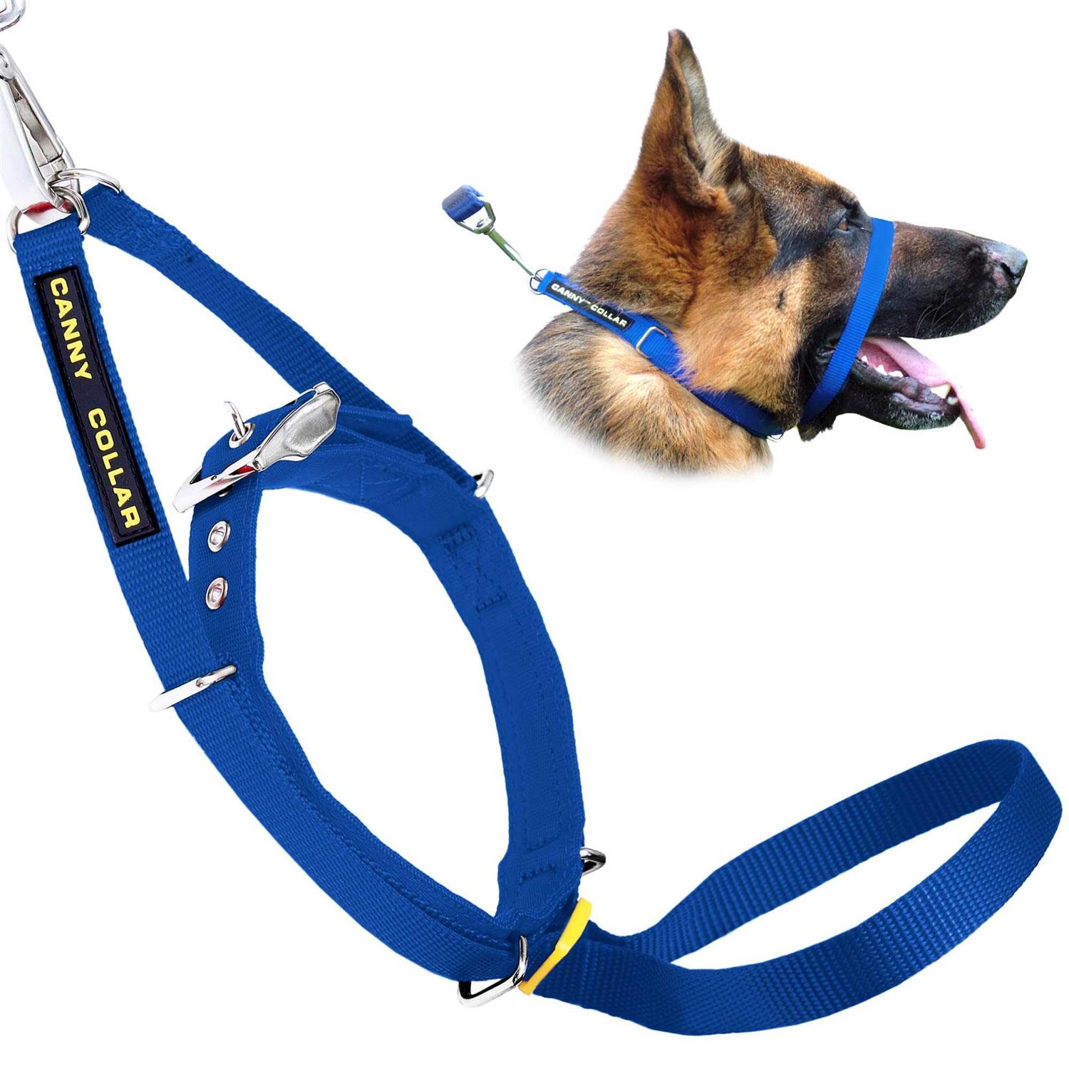 Canny No Pull Padded Dog Training Head Collar - Healthber