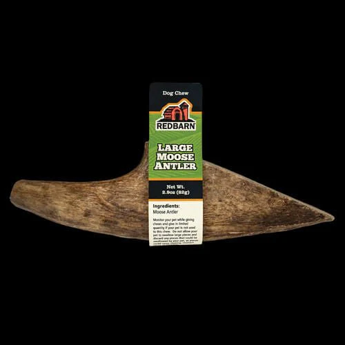 Redbarn Large Palm Moose Antler - Healthber