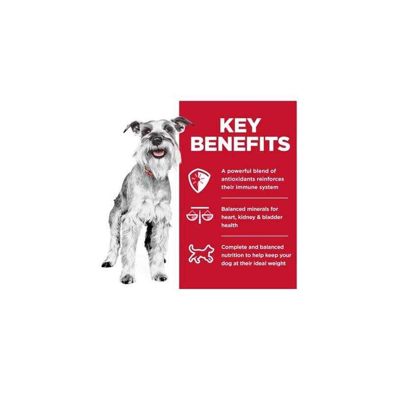 Hill’s Science Diet Adult 7+ Small Paws Chicken & Barley Entree Dog Food - Healthber
