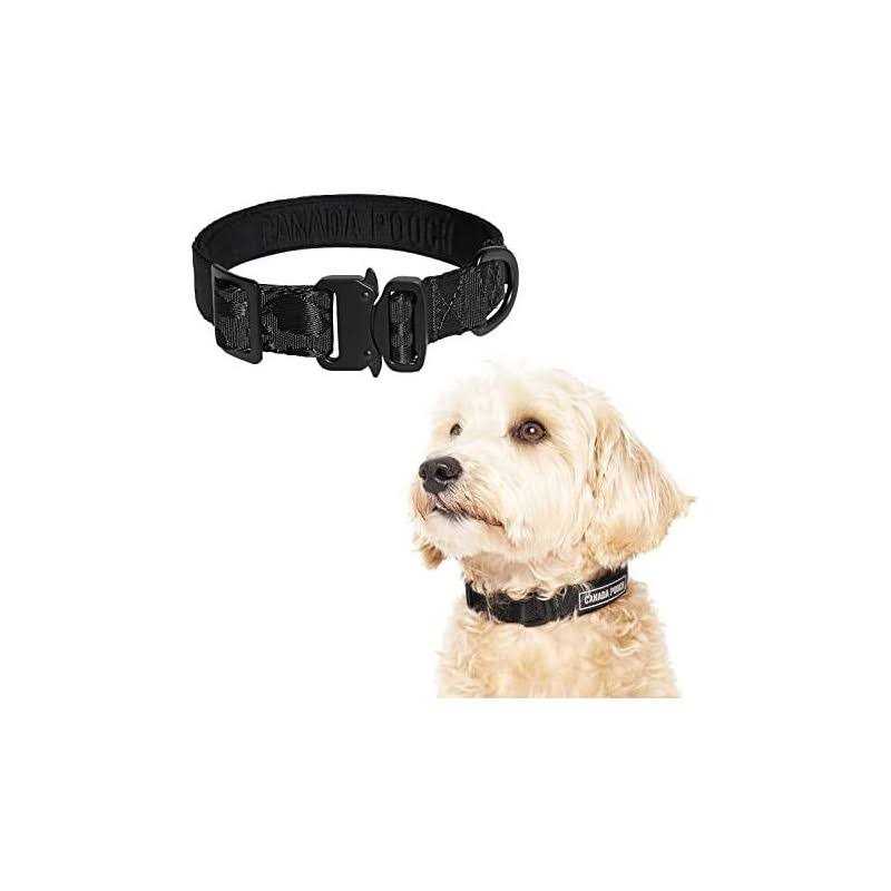 Canada Pooch Utility Dog Collar - Healthber